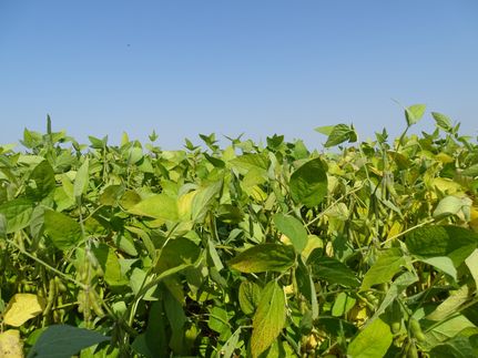 Farm and Ranch for sale in Norman County, Minnesota