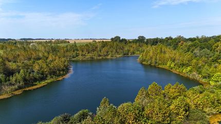 Undeveloped Land for sale in Knox County, Indiana