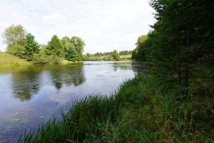 Land for sale in Taylor County, Wisconsin