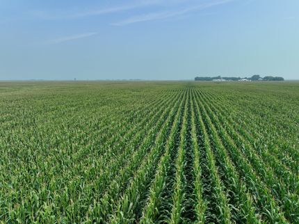 Farm and Ranch for sale in Traverse County, Minnesota