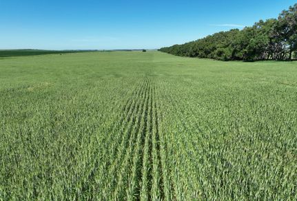Land for sale in Griggs County, North Dakota