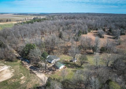 Land for sale in Clay County, Arkansas