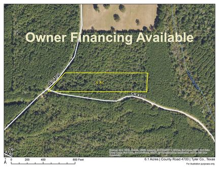 Undeveloped Land for sale in Tyler County, Texas