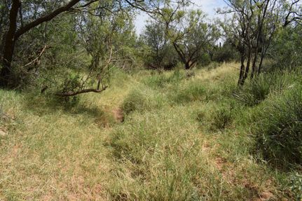 Undeveloped Land for sale in Mitchell County, Texas