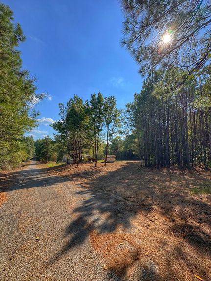 Land for sale in Marion County, Alabama