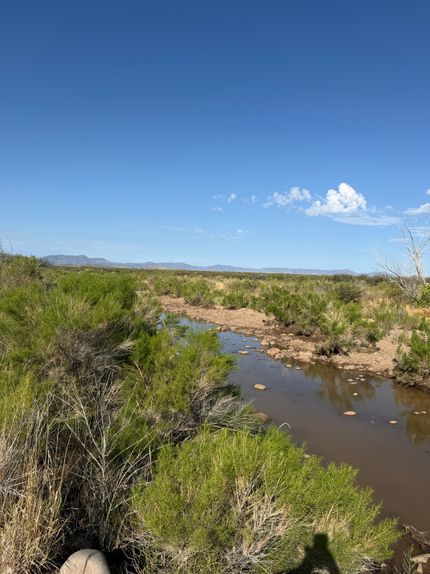 Land for sale in Reeves County, Texas