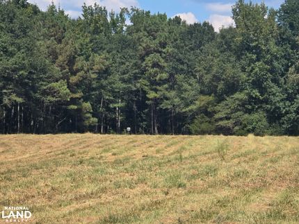 Land for sale in Fayette County, Alabama