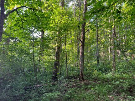 Land for sale in Iron County, Michigan
