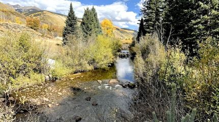 Land for sale in Pitkin County, Colorado