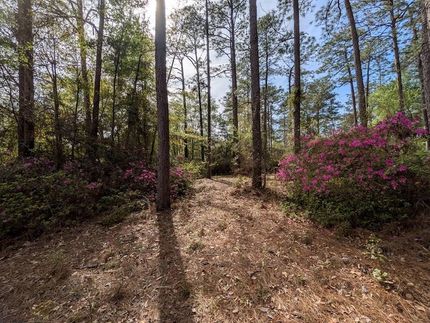 Timberland Property for sale in Thomas County, Georgia