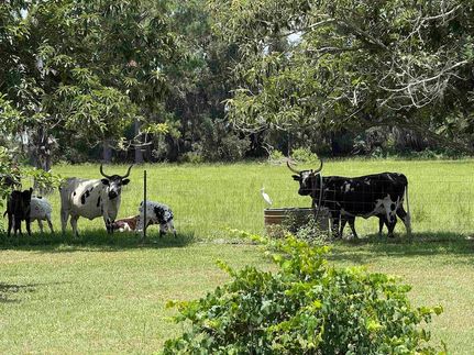 Land for sale in Madison County, Florida