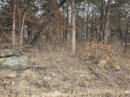Timberland Property for sale in Hickory County, Missouri