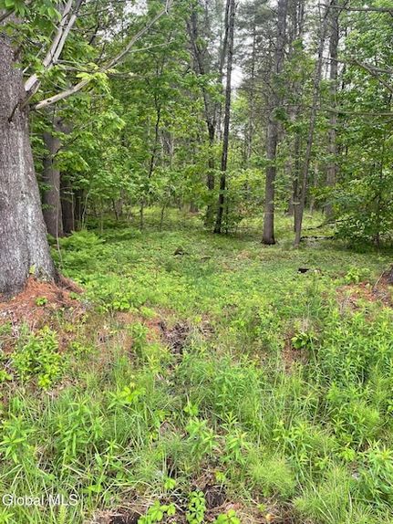 Farm and Ranch for sale in Warren County, New York