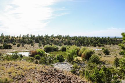 Farm and Ranch for sale in Weston County, Wyoming