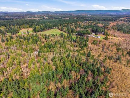 Land for sale in Lewis County, Washington