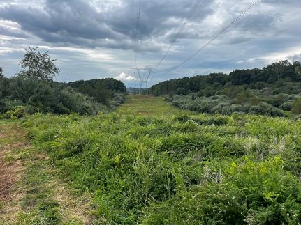 Land for sale in Vinton County, Ohio