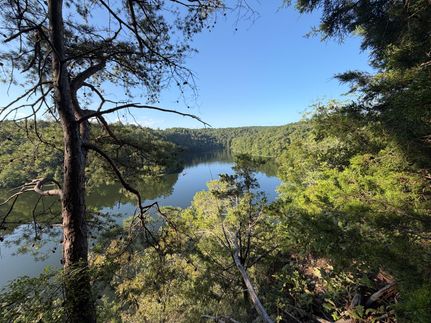 Land for sale in Tuscaloosa County, Alabama
