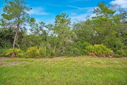 Undeveloped Land for sale in Lake County, Florida