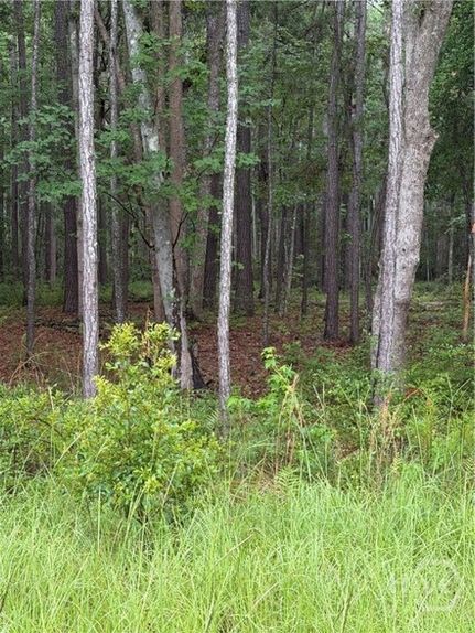 Homesite for sale in Chatham County, Georgia