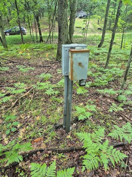 Land for sale in Osceola County, Michigan