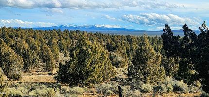 Undeveloped Land for sale in Deschutes County, Oregon