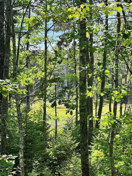 Land for sale in Cumberland County, Maine