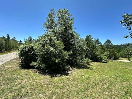 Land for sale in Bastrop County, Texas