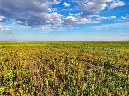 Land for sale in Baca County, Colorado