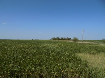 Land for sale in Anderson County, Kansas
