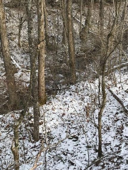 Undeveloped Land for sale in Scott County, Tennessee