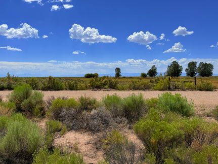 Undeveloped Land for sale in Saguache County, Colorado