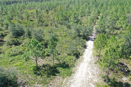 Land for sale in Madison County, Florida