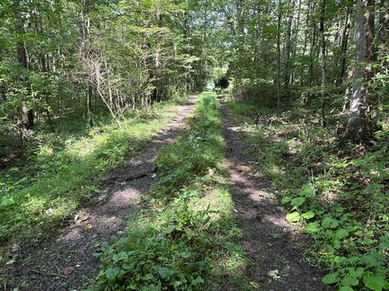 Land for sale in Preston County, West Virginia