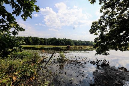 Farm and Ranch for sale in Cass County, Michigan