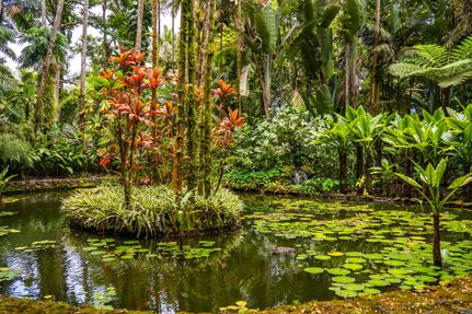 Land for sale in Hawaii County, Hawaii