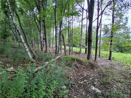 Land for sale in Broome County, New York