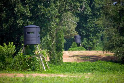 Land for sale in Benton County, Mississippi