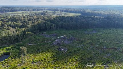 Farm and Ranch for sale in Simpson County, Mississippi