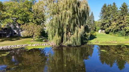 Farm and Ranch for sale in Dane County, Wisconsin