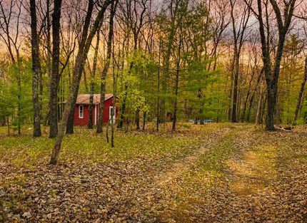 Timberland Property for sale in Lake County, Michigan