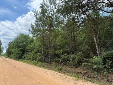Land for sale in Decatur County, Georgia