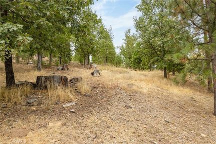 Farm and Ranch for sale in Madera County, California