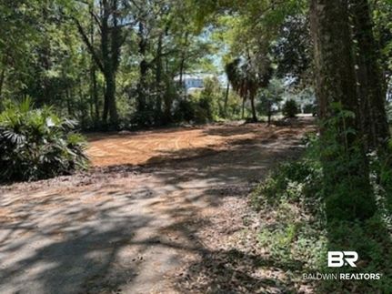 Recreational Property for sale in Baldwin County, Alabama