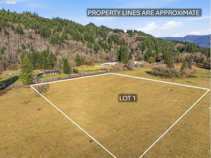 Undeveloped Land for sale in Cowlitz County, Washington