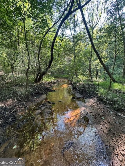 Land for sale in Randolph County, Georgia