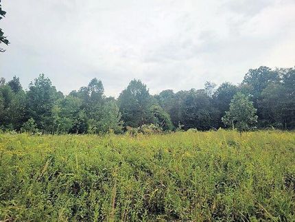 Undeveloped Land for sale in Jackson County, Kentucky