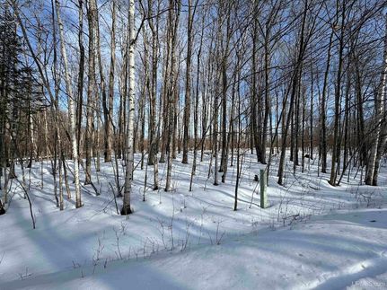Land for sale in Iron County, Michigan