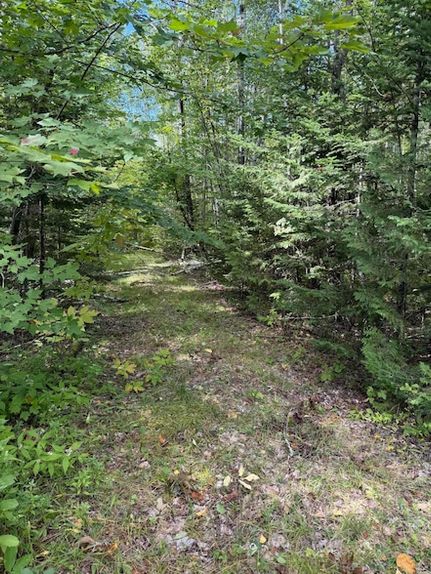 Undeveloped Land for sale in Piscataquis County, Maine