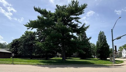 Undeveloped Land for sale in Ogle County, Illinois