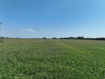 Undeveloped Land for sale in Stanton County, Nebraska